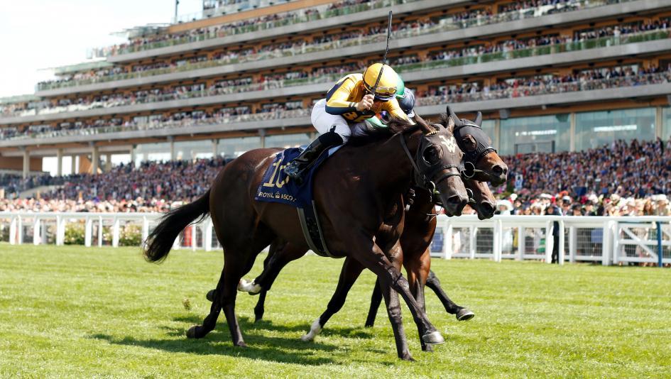 Wesley Ward’s Shang Shang Shang Wins at Royal Ascot, Earns Breeders’ Cup Berth